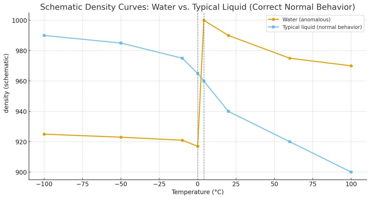 Schematic illustration of water’s density anomaly around 4 °C